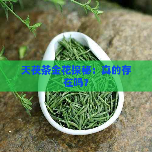 天茯茶金花探秘：真的存在吗？