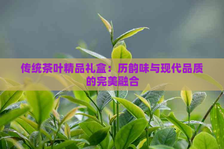 传统茶叶精品礼盒：历韵味与现代品质的完美融合