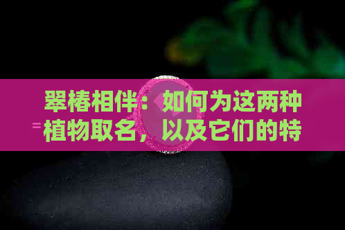 翠椿相伴：如何为这两种植物取名，以及它们的特点和用途