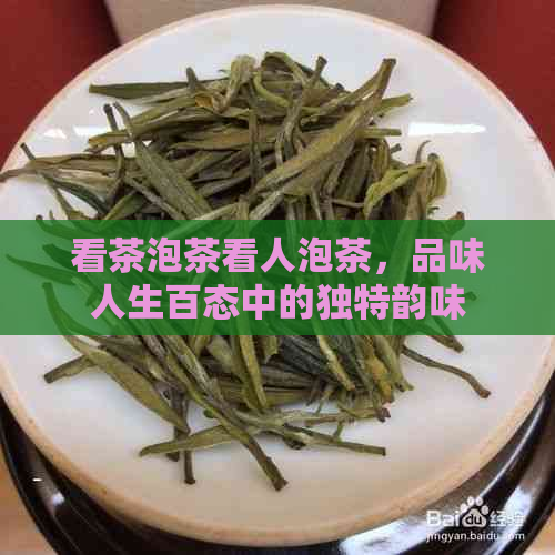 看茶泡茶看人泡茶，品味人生百态中的独特韵味