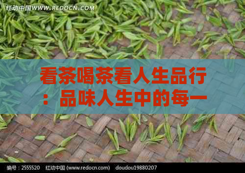 看茶喝茶看人生品行：品味人生中的每一杯茶