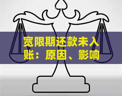 宽限期还款未入账：原因、影响与解决方法全面解析