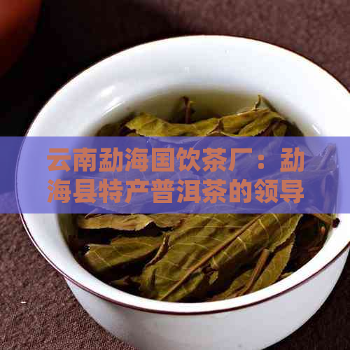 云南勐海国饮茶厂：勐海县特产普洱茶的领导者，价格实，品质越