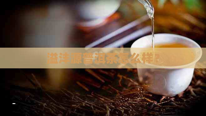 溢沣源普洱茶怎么样？