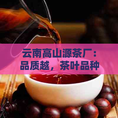 云南高山源茶厂：品质越，茶叶品种丰富，为您提供一站式茶叶体验