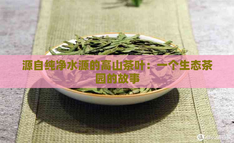 源自纯净水源的高山茶叶：一个生态茶园的故事