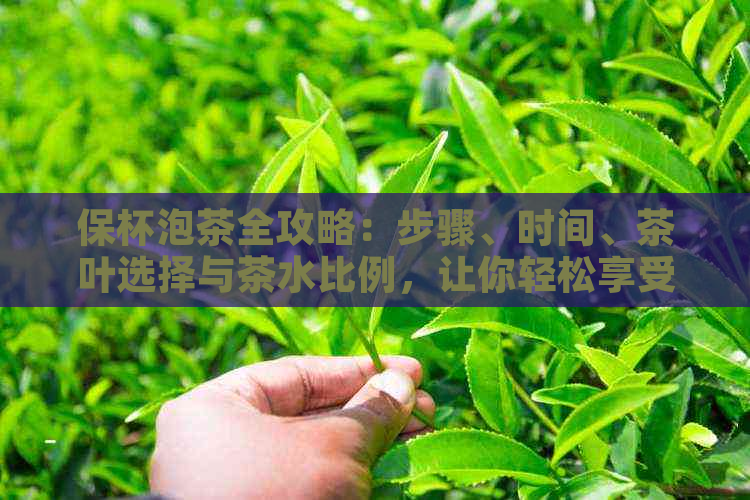 保杯泡茶全攻略：步骤、时间、茶叶选择与茶水比例，让你轻松享受茶香