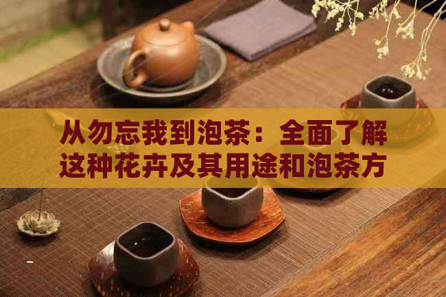 从勿忘我到泡茶：全面了解这种花卉及其用途和泡茶方法