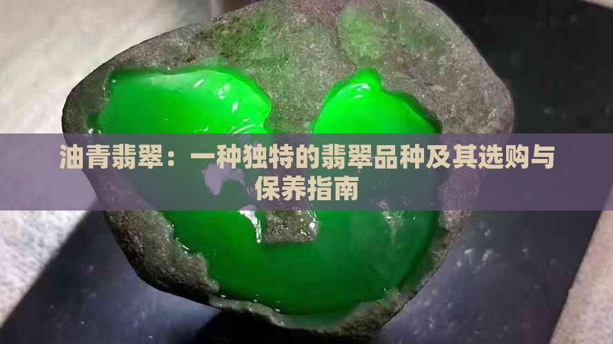 油青翡翠：一种独特的翡翠品种及其选购与保养指南