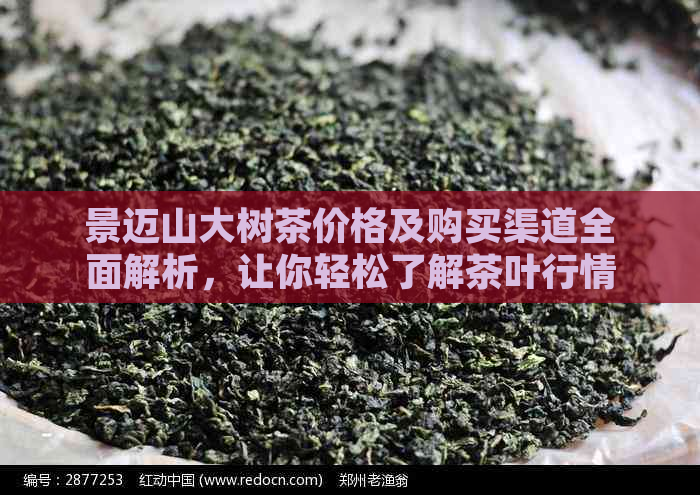 景迈山大树茶价格及购买渠道全面解析，让你轻松了解茶叶行情