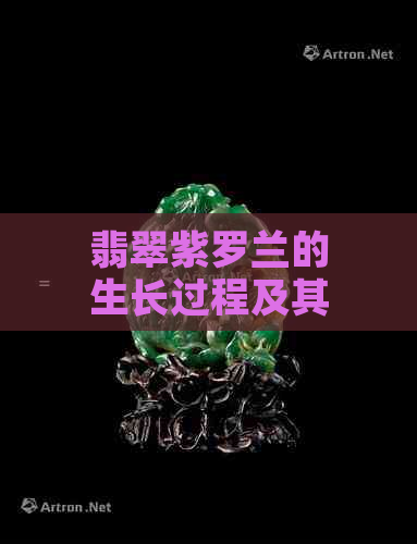 翡翠紫罗兰的生长过程及其形成原因解析：从种子到盛开的全周期探讨