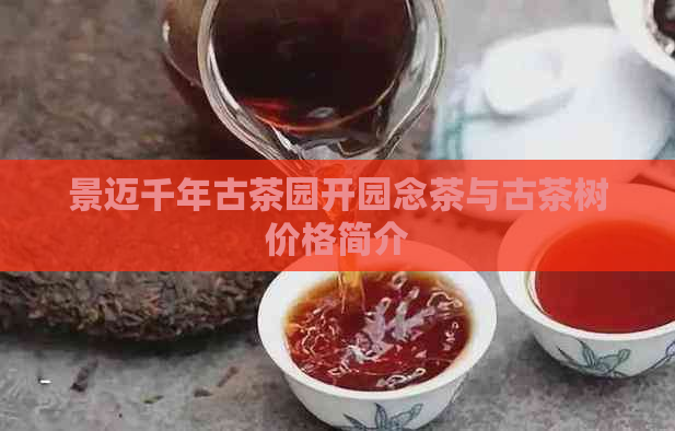 景迈千年古茶园开园念茶与古茶树价格简介