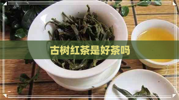 古树红茶是好茶吗