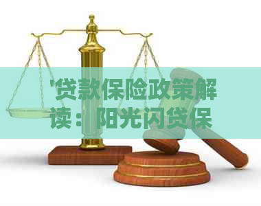  '贷款保险政策解读：阳光闪贷保提前还款后能否退还保费？'