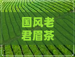 国风老君眉茶价格