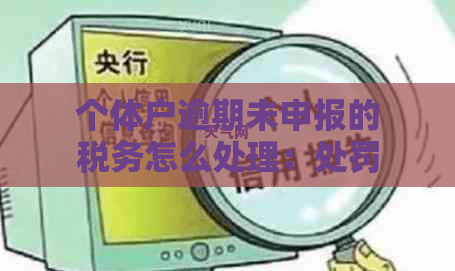 个体户逾期未申报的税务怎么处理：处罚与解决办法