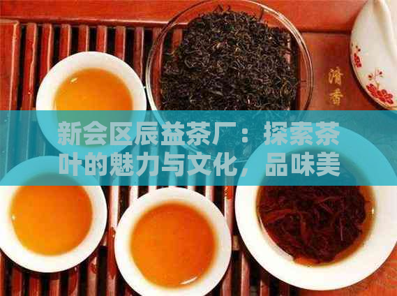 新会区辰益茶厂：探索茶叶的魅力与文化，品味美好生活