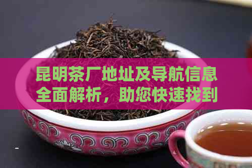 昆明茶厂地址及导航信息全面解析，助您快速找到目的地