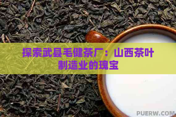 探索武县毛健茶厂：山西茶叶制造业的瑰宝