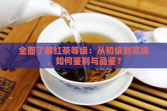 全面了解红茶等级：从初级到高级，如何鉴别与品鉴？