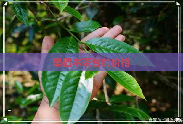 黑檀木茶台的价格