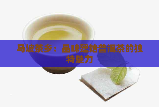 马坡茶乡：品味建始普洱茶的独特魅力