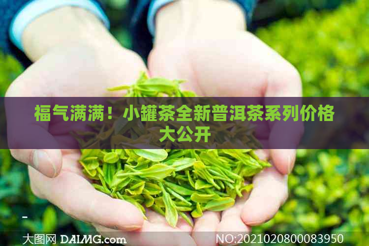 福气满满！小罐茶全新普洱茶系列价格大公开