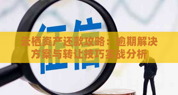 云栖资产还款攻略：逾期解决方案与转让技巧实战分析