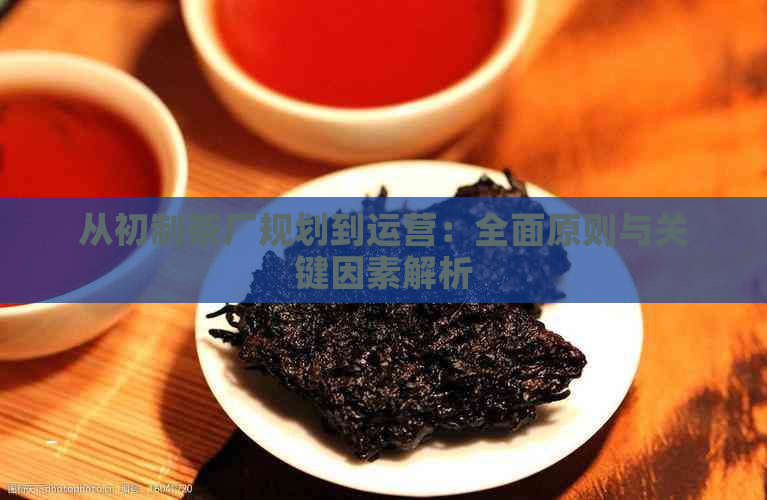 从初制茶厂规划到运营：全面原则与关键因素解析