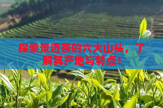 探索景迈茶的六大山头，了解其产地与特点！