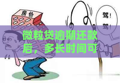 微粒贷逾期还款后，多长时间可以再次申请借款？了解详细规定和影响因素