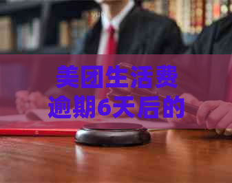 美团生活费逾期6天后的还款处理方式：全部还款还是部分还款？