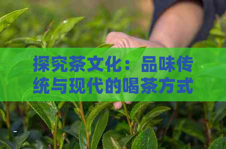 探究茶文化：品味传统与现代的喝茶方式与礼仪