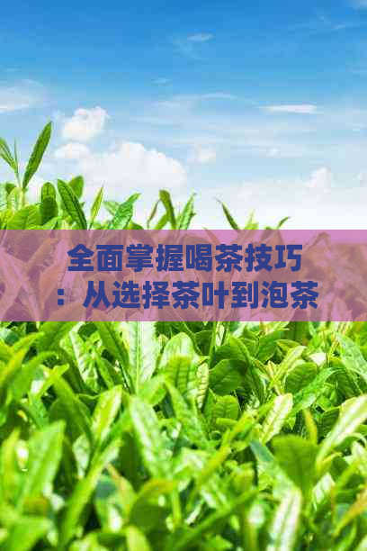 全面掌握喝茶技巧：从选择茶叶到泡茶方法，让你成为泡茶高手