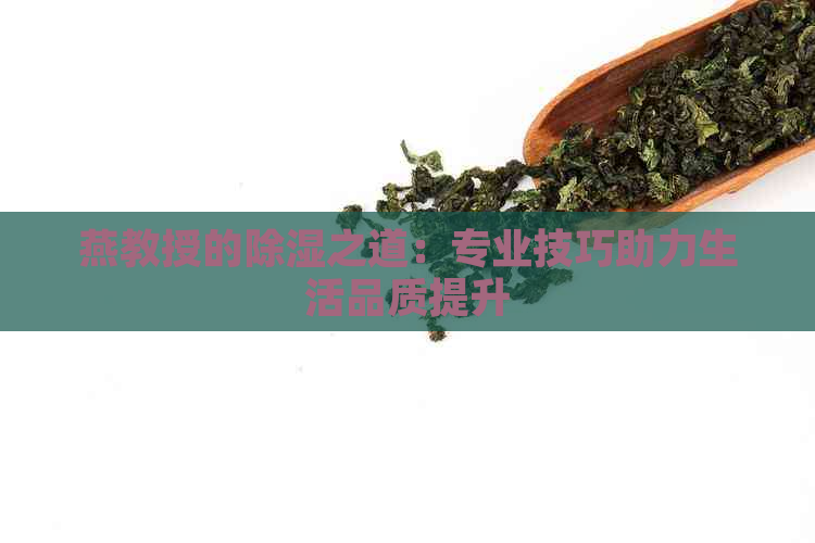 燕教授的除湿之道：专业技巧助力生活品质提升