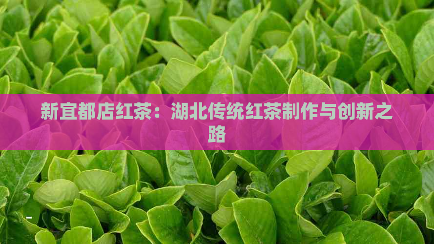 新宜都店红茶：湖北传统红茶制作与创新之路