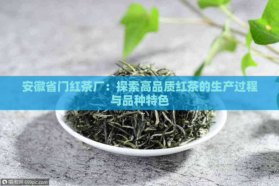 安徽省门红茶厂：探索高品质红茶的生产过程与品种特色