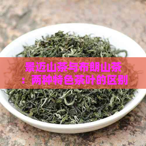 景迈山茶与布朗山茶：两种特色茶叶的区别及比较分析