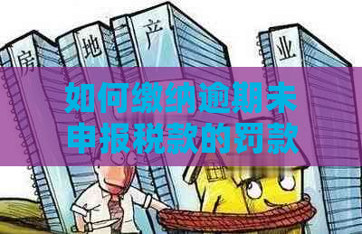 如何缴纳逾期未申报税款的罚款？解答常见疑问及应对策略