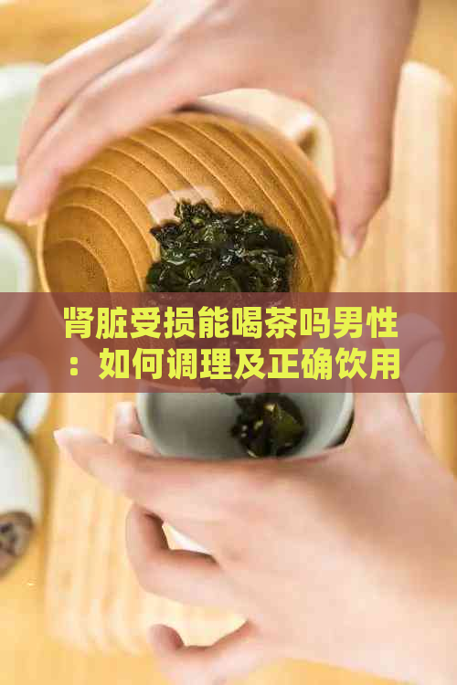 肾脏受损能喝茶吗男性：如何调理及正确饮用茶的方法