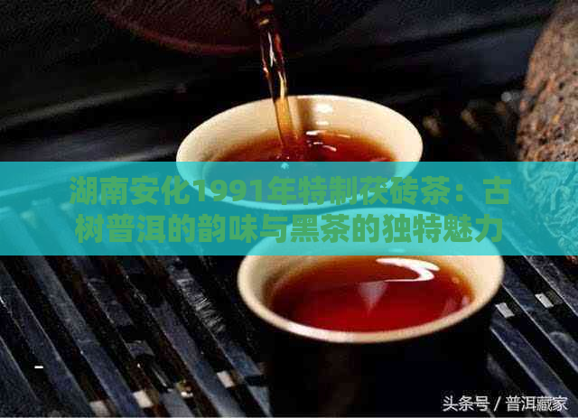 湖南安化1991年特制茯砖茶：古树普洱的韵味与黑茶的独特魅力