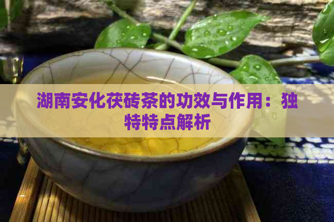 湖南安化茯砖茶的功效与作用：独特特点解析