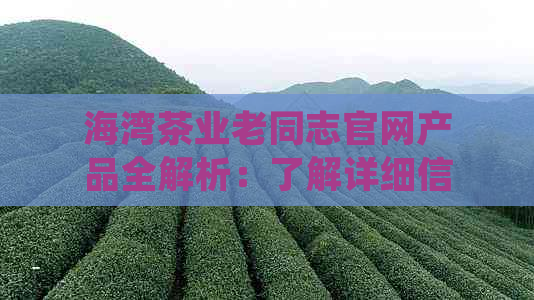 海湾茶业老同志官网产品全解析：了解详细信息，满足您的茶叶需求