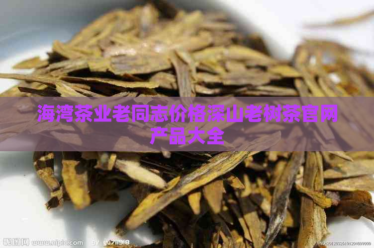 海湾茶业老同志价格深山老树茶官网产品大全