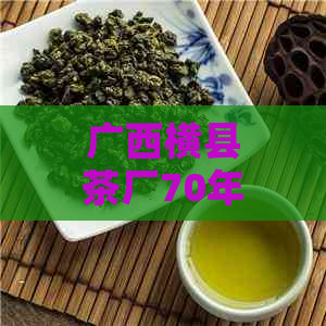 广西横县茶厂70年代茯砖真品鉴别与收藏指南：了解特点、历与价值