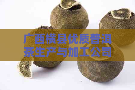 广西横县优质普洱茶生产与加工公司：茶文化的传承者与创新者