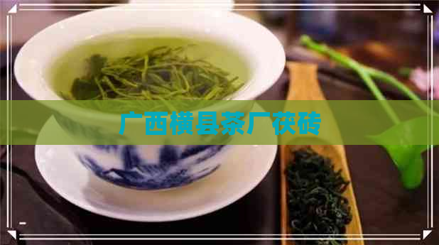 广西横县茶厂茯砖