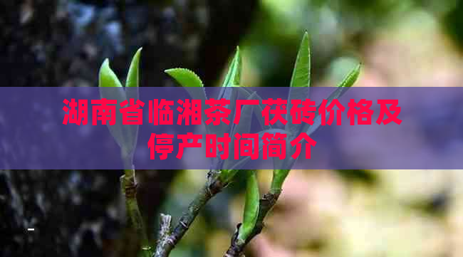 湖南省临湘茶厂茯砖价格及停产时间简介