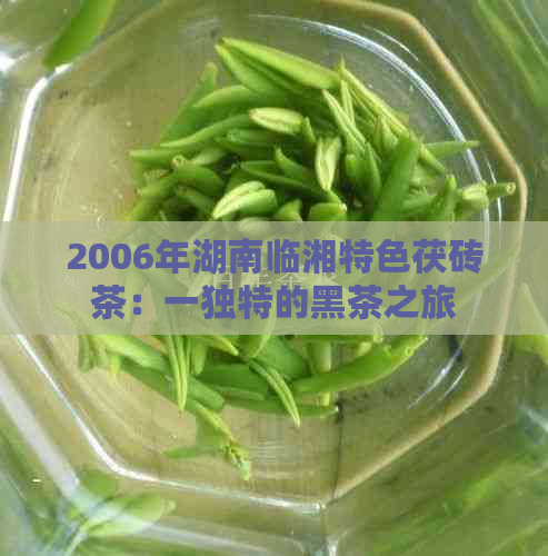 2006年湖南临湘特色茯砖茶：一独特的黑茶之旅