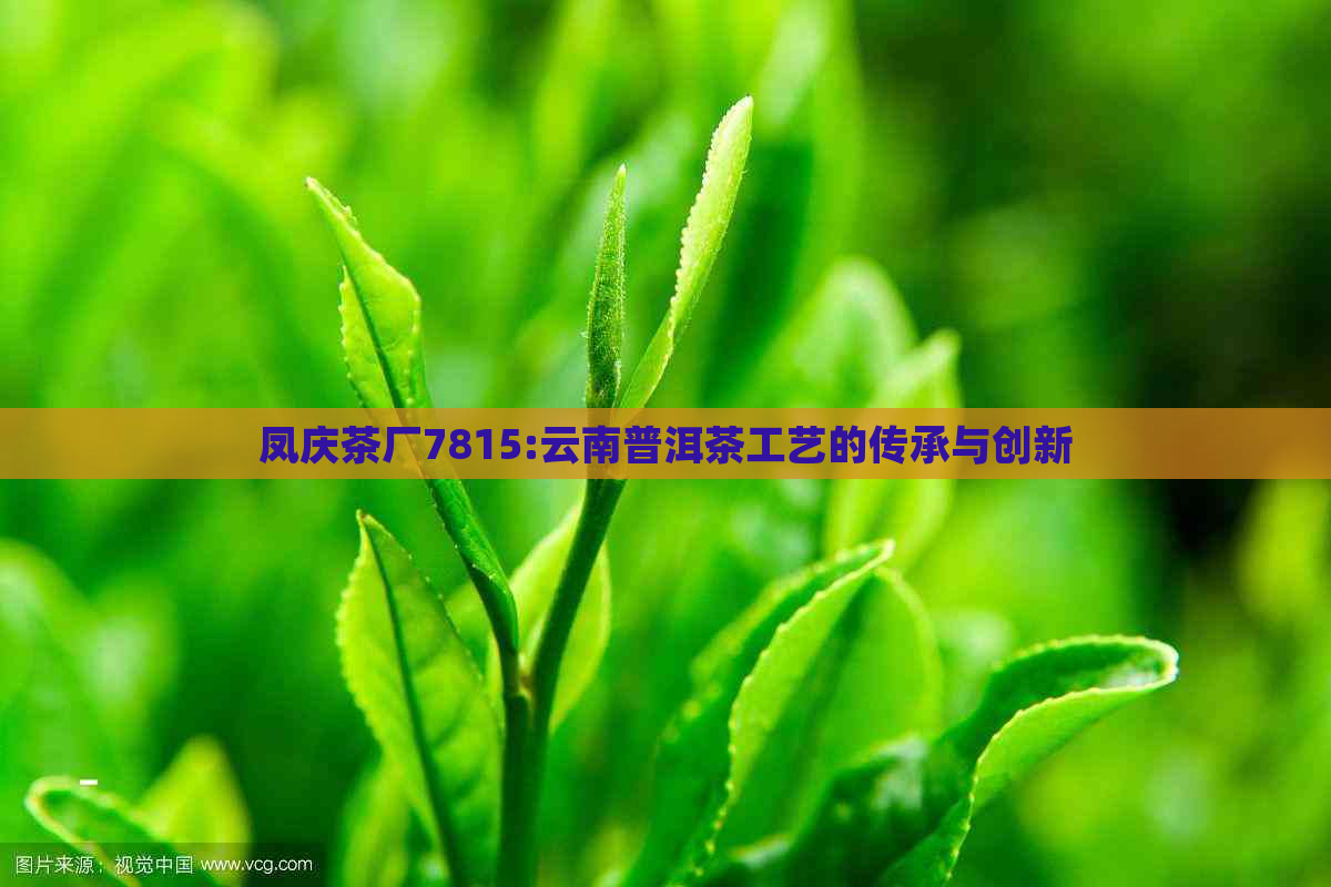 凤庆茶厂7815:云南普洱茶工艺的传承与创新